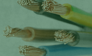 BANNER BLOG 2000 x 900 px